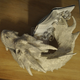 Illustration for article titled Artist Turns emThe Hobbit/em Book Into Paper Sculpture Of Smaug